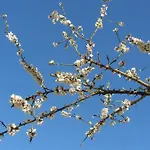Frühstückspension Mandoue 3*