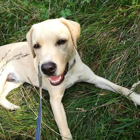 Mandoué Pont-Saint-Martin