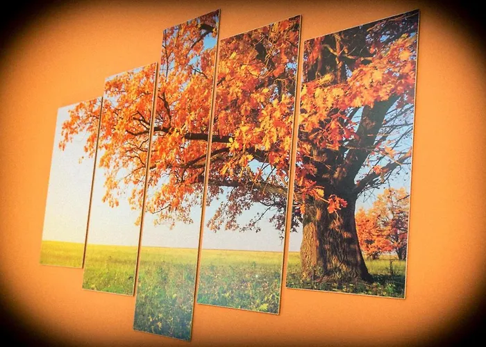 Mandoué Bed & Breakfast