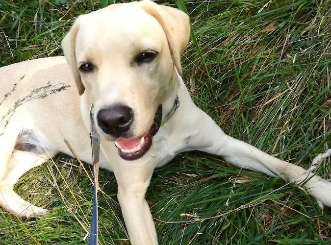 Mandoue Pont-Saint-Martin